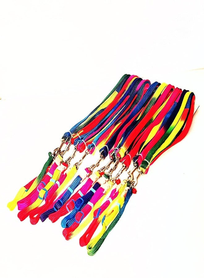 Pups&Pets طقم طوق نايلون بألوان قوس قزح من Pups&Pets للكلاب الصغيرة والجراء، مع مجموعة مقود - Image 2